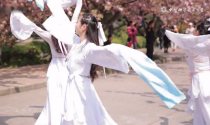 [视频]樱花——惊鸿舞（群舞）