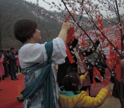 河南桃花节女子着汉服、行古礼祈福