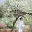 十堰林妹妹汉服版“黛玉葬花”-图片3