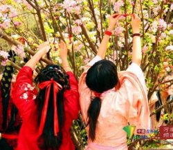 新乡近百大学生聚公园身着汉服过“花朝节”