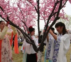 临沂大学花朝盛典 一年中各有哪些花神？