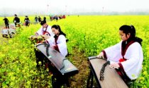 万亩油菜花园内学生着汉服弹古筝引游客驻足