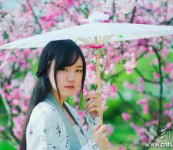 武科大四美穿汉服踏青 网友:可媲美元宵四美