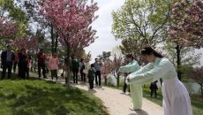 汉学社女生着汉服种樱花 起舞翩若惊鸿