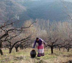 女摄影师终南山归隐梦：穿汉服住桃林亲手种菜