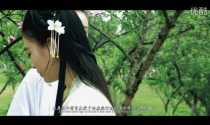 [视频] 汉服《旧梦.江南》江南寻梦微电影