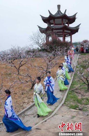 奉化万亩桃花盛妆开 汉服少女寻香觅春踪