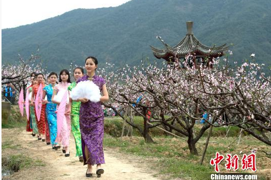 奉化万亩桃花盛妆开 汉服少女寻香觅春踪