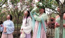 樱花树下，“汉服美女”成风景