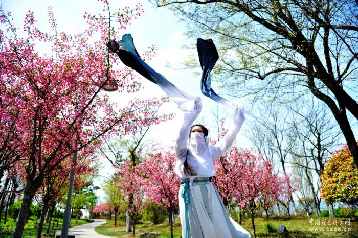 一位国学爱好者在花丛中进行汉服舞蹈表演。
