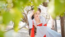 海归女摄影师情迷古典文化 演绎汉服美人