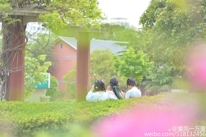 淮北师范大学毕业生拍汉服毕业照 在校食堂端饭碗搞笑-图片4