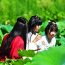 花美人更美！一群汉服姑娘把橘乡荷海玩成了这样 -图片6