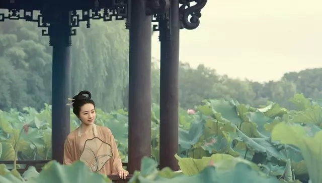 常记溪亭日暮,沉醉不知归路,兴尽晚回舟,误入藕花深处。争渡,争渡,惊起一滩鸥鹭。