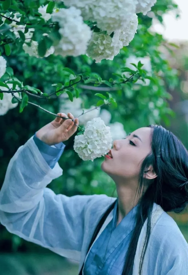 人生只似风前絮,欢也零星,悲也零星,都做连江点点萍。