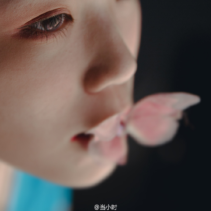 蝴蝶苦恋花，美得淹没枯萎。