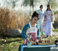 芦苇荡里现汉服 裙裾飘飘引围观