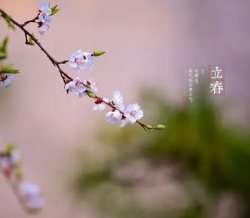 二十四节气成功申遗，让我们来好好了解“中国的第五大发明”吧