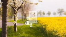 【传统节日】清明时节雨纷纷，路上行人欲断魂