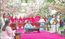 着汉服、抚古琴，感受落“樱”缤纷  安阳工学院第二届安阳文化周活动开幕 