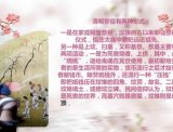 [视频]清明节 - 品味中华风俗节日第二十五期