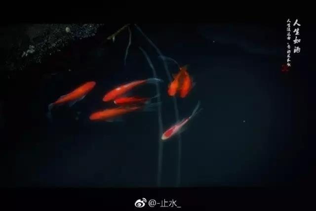 人生须达命,有酒且长歌。