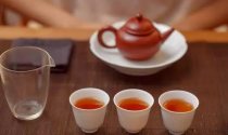 【茶道】你的气质里，藏着你喝过的茶