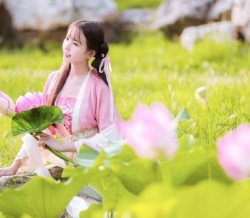 【汉服美图】若耶溪边采莲女，笑隔荷花共人语