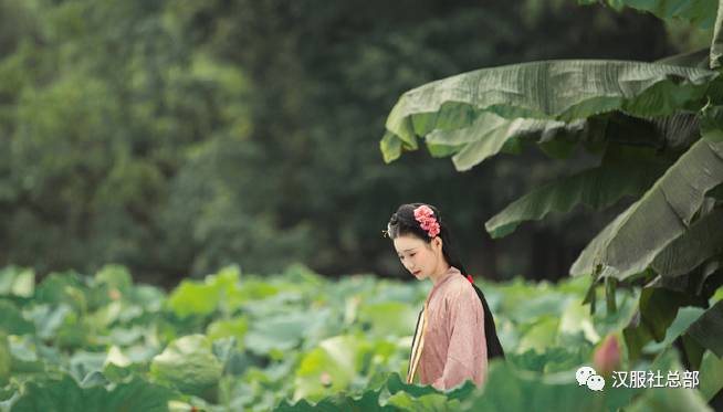 燕赵多佳人,美者颜如玉。
美人一何丽,颜若芙蓉花。