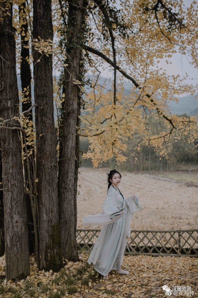 【汉服美图】银杏落满地,相望远方不曾见-图片9