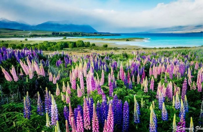 那是个天堂般如梦如幻的地方