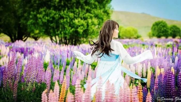 和蝶儿一起飞舞