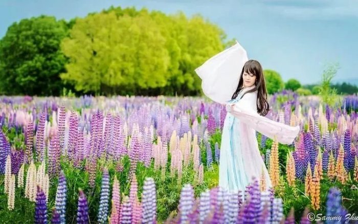 与蜜蜂一同寻蜜