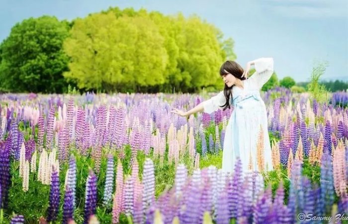 如果可以,我愿永远停留在这里