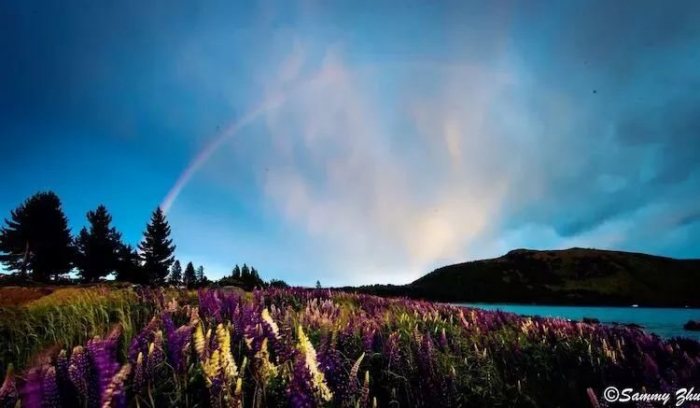 【汉服美图】鲁冰花盛开的地方-图片31