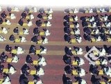对弈古滇国 200名汉服学子点燃围棋激情