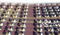 对弈古滇国 200名汉服学子点燃围棋激情