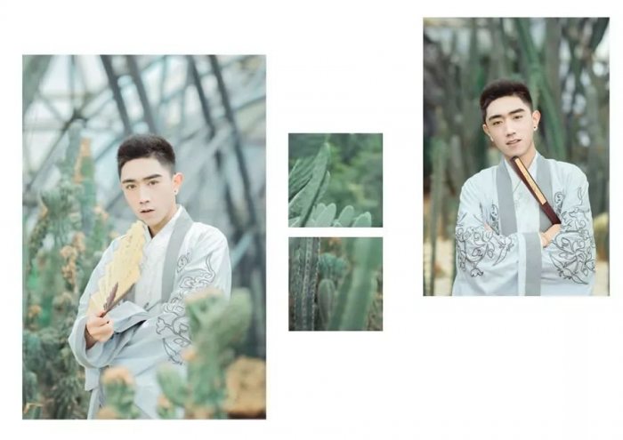 身非王侯轻富贵,飘逸自赛鹤临风。