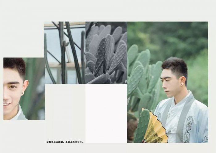 花无其魄,玉无其魅。