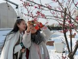 西安市民植物园穿汉服弹古琴踏雪寻梅
