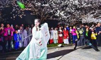 “我的大学·我的城”随手拍走进堤角公园 汉服与夜樱碰撞出华夏之美