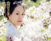 【汉服美图】与樱共舞
