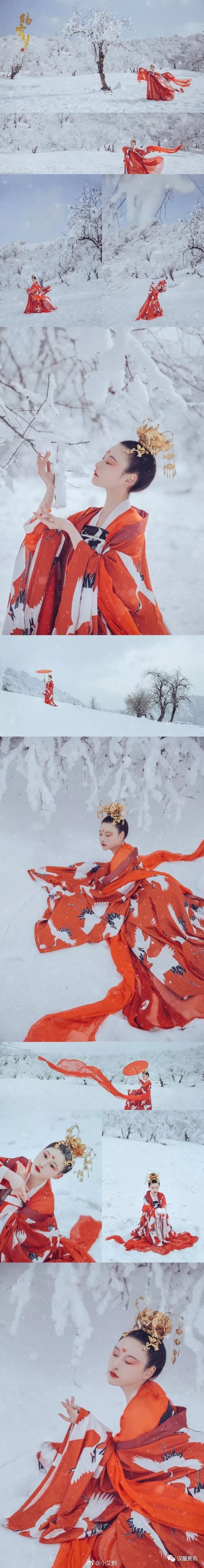 【汉服美图】鹤雪引-图片3