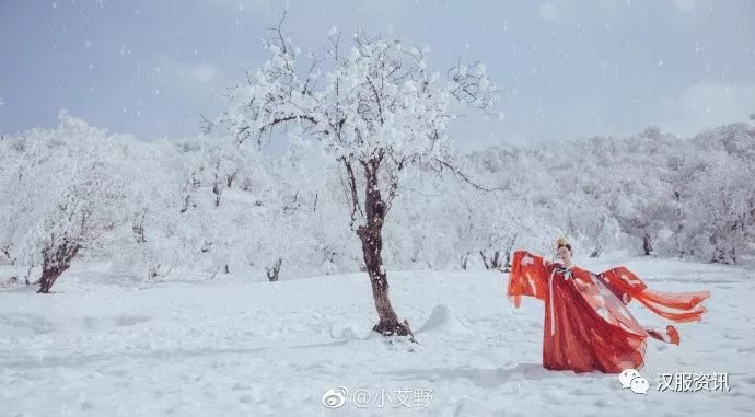 【汉服美图】鹤雪引-图片7