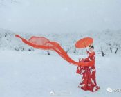 【汉服美图】鹤雪引