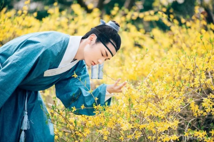 【汉服美图】落花时节又逢君-图片11