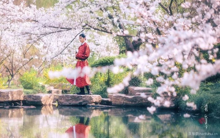 【汉服美图】落花时节又逢君-图片18