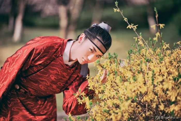 【汉服美图】落花时节又逢君-图片21