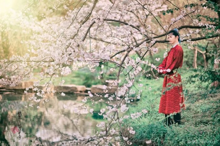 【汉服美图】落花时节又逢君-图片25