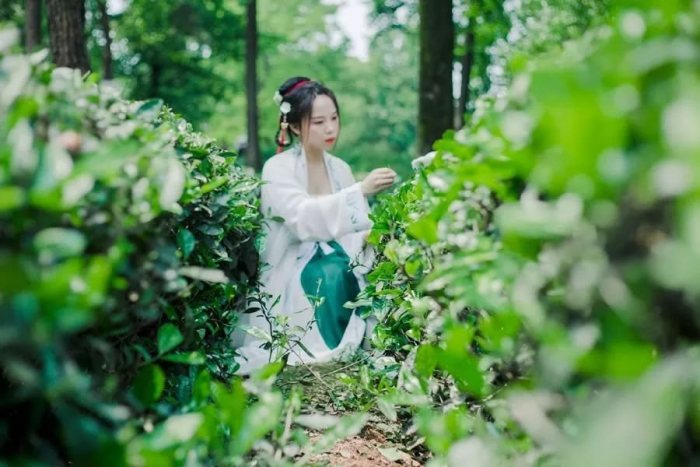 【汉服美图】山中何事,松花酿酒,春水煎茶-图片3
